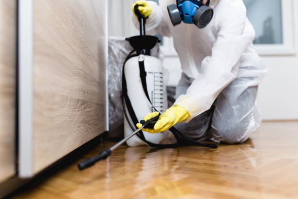 Best Emergency Pest Control  in Homewood, AL