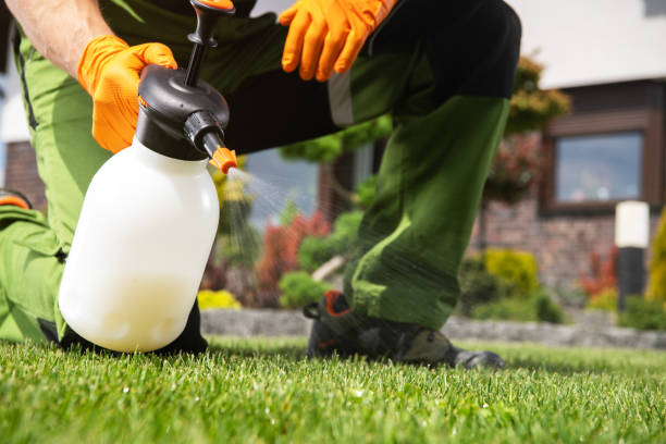 Best Cockroach Control Services  in Homewood, AL