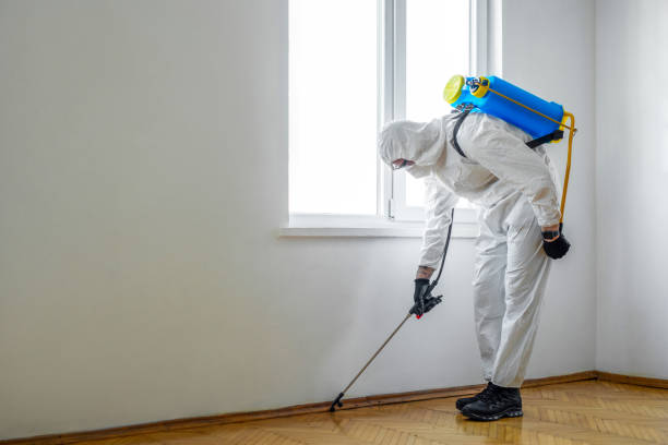 Best Pest Inspection Near Me  in Homewood, AL
