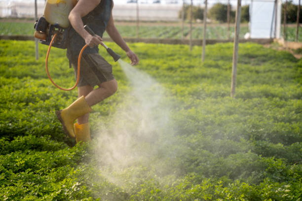 Best Best Pest Control Companies  in Homewood, AL