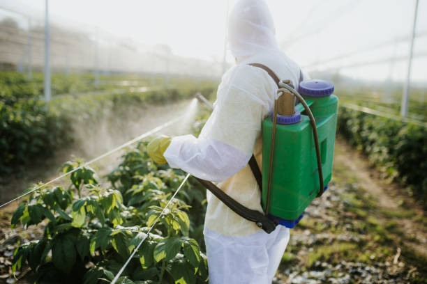 Best Pest Control for Businesses  in Homewood, AL